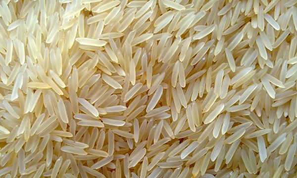 1509 Parboiled Basmati Rice