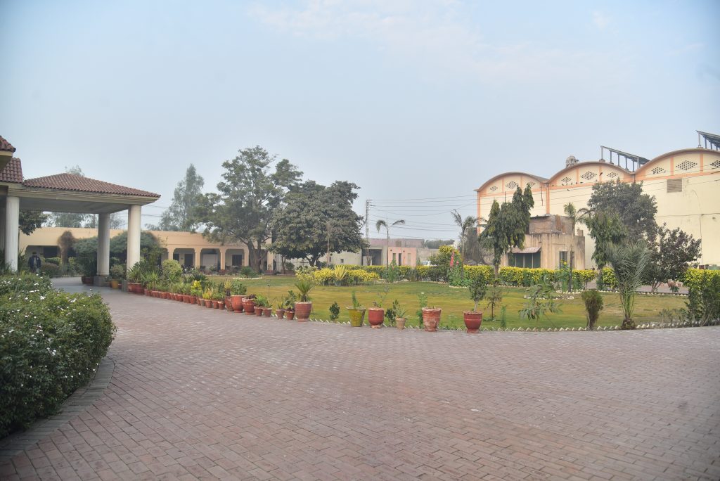 Adil Rice Mills