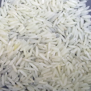 PK-386 Rice
